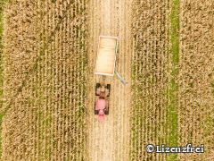 Forum for Future and Transformation