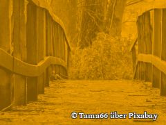 Der Umgang mit den Toten – eine Frage der  Religions- und Weltanschauungsfreiheit und der Menschenwürde