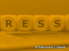 Ziel einer atomwaffenfreien Welt nicht aufgeben